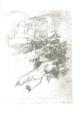 Ilustrace s. [119]