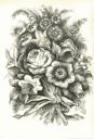 Frontispis