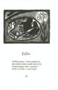 Ilustrace s. 131