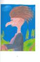 Ilustrace s. 16