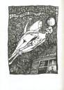 Ilustrace s. [36]