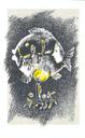 Ilustrace s. [70]