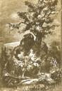 Ilustrace s. [111]