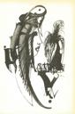 Ilustrace s. [47]