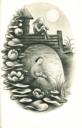Ilustrace s. [111] 