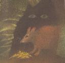 Ilustrace s. [23]