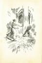 Ilustrace s. [31] 