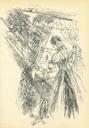 Ilustrace s. [59] 